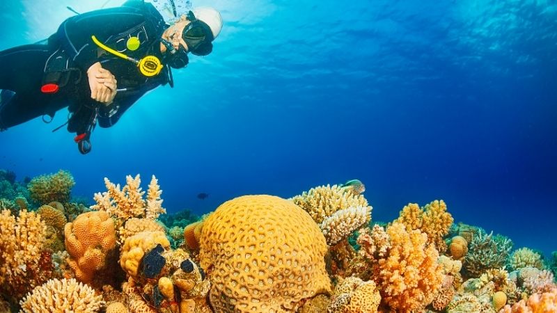 Phu Quoc Island diving