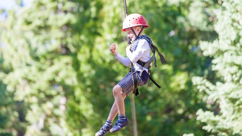 Hue Zipline