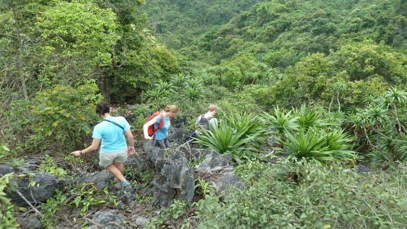Trekking to Monkey Island Cat Ba