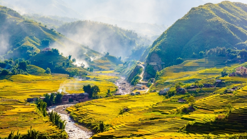 Sapa terrace rice fields