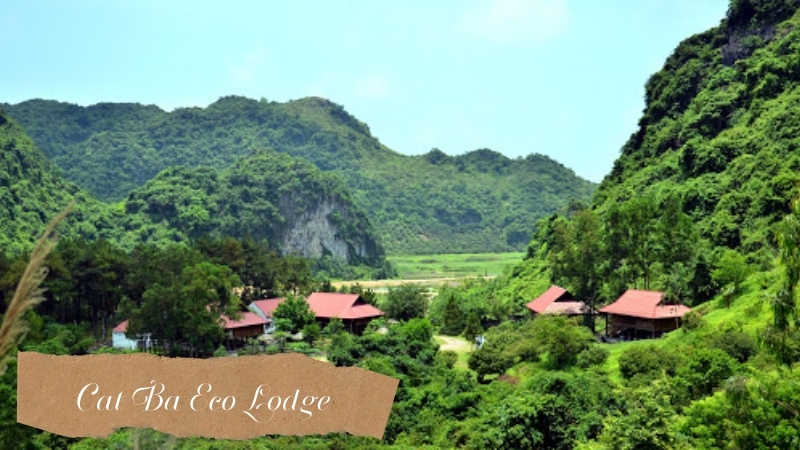 Cat Ba Ecolodge