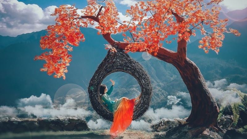 Amazing Photo in Sapa Story