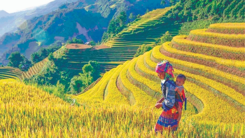 Mu Cang Chai