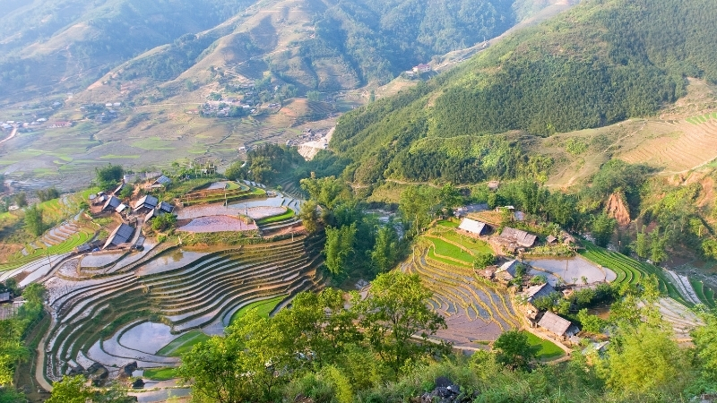 Sapa