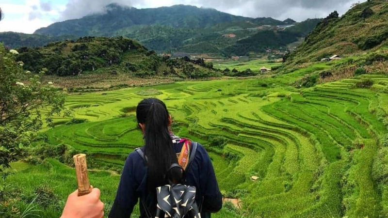 Sapa in Spring