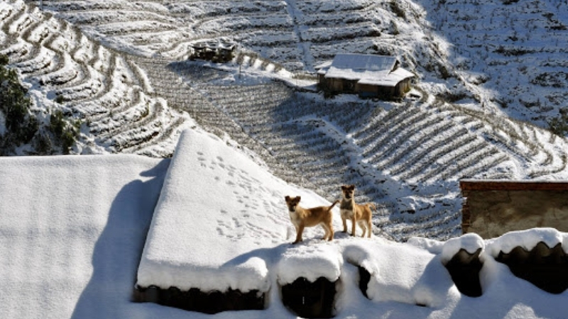 Sapa during winter