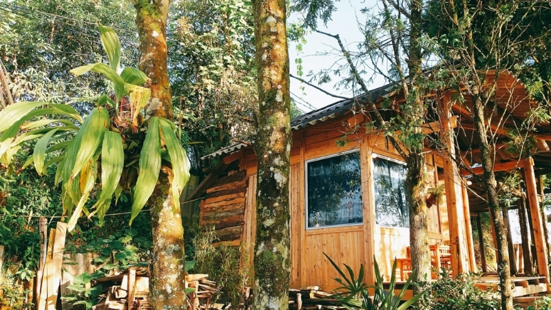 Sapa Jungle Homestay