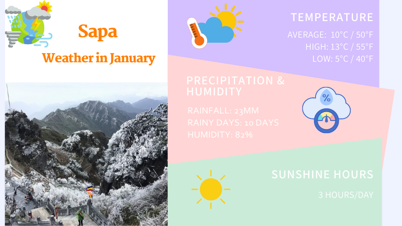 Sapa weather januaray
