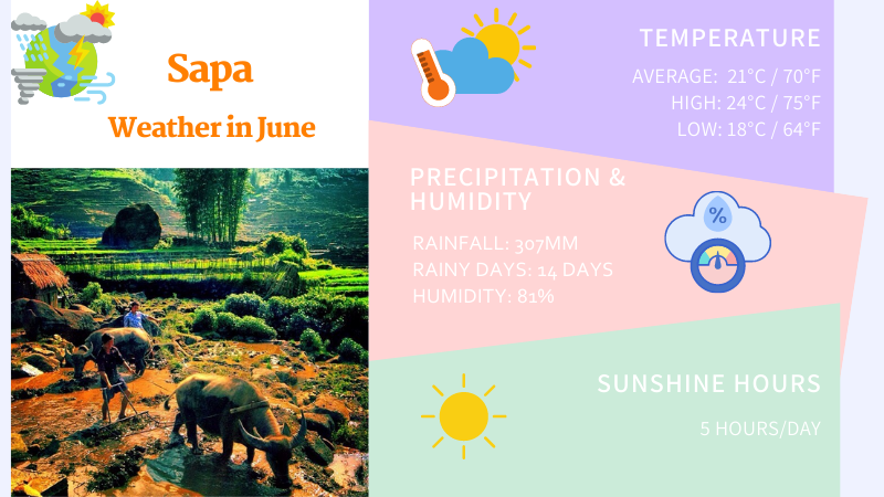 Sapa weather in June