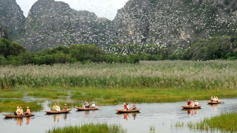 Van Long Nature Reserve - Ninh Binh Boat Ride