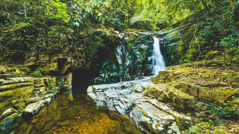 Bach Ma National Park