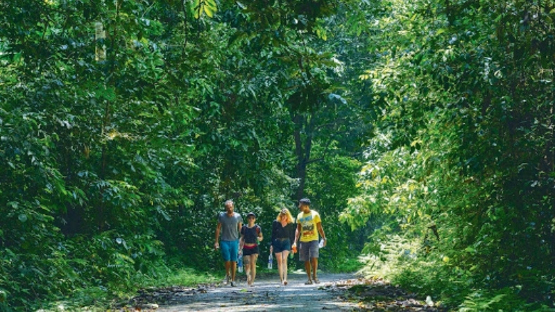 Hiking in ninh Binh