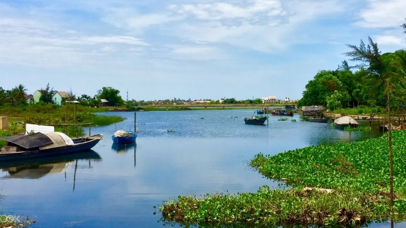 Take a boat tour to Cam Kim Island