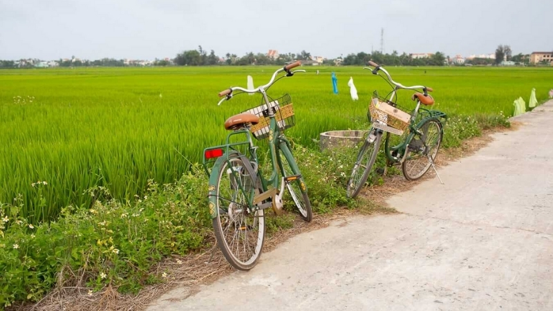 Take a free biking experience throughout the Hoi An&rsquo;s outskirt area