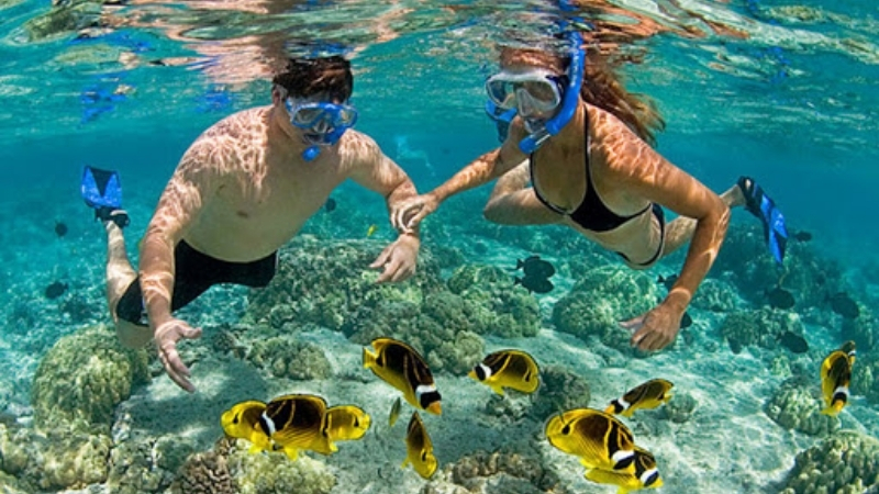 Amazing snorkeling 