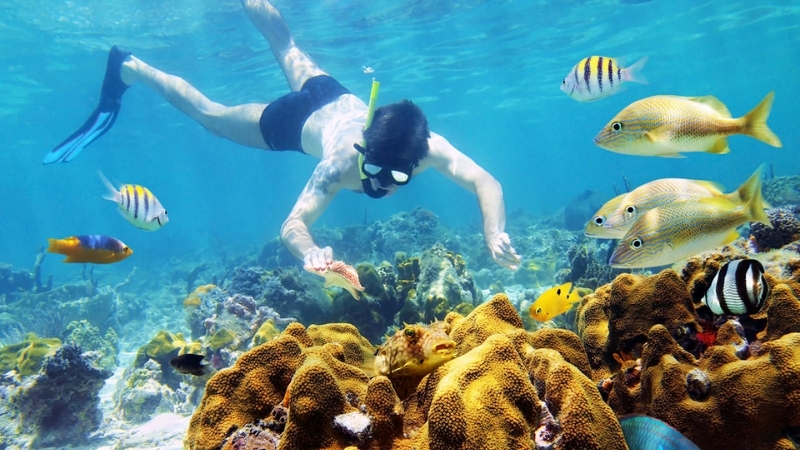 Amazing to do Scuba diving in Hoi An