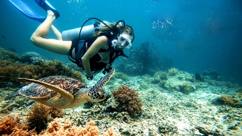 best places to diving in Hoi An
