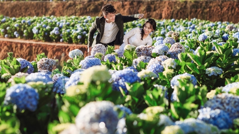 Check-in at flowers villages and farms&nbsp;