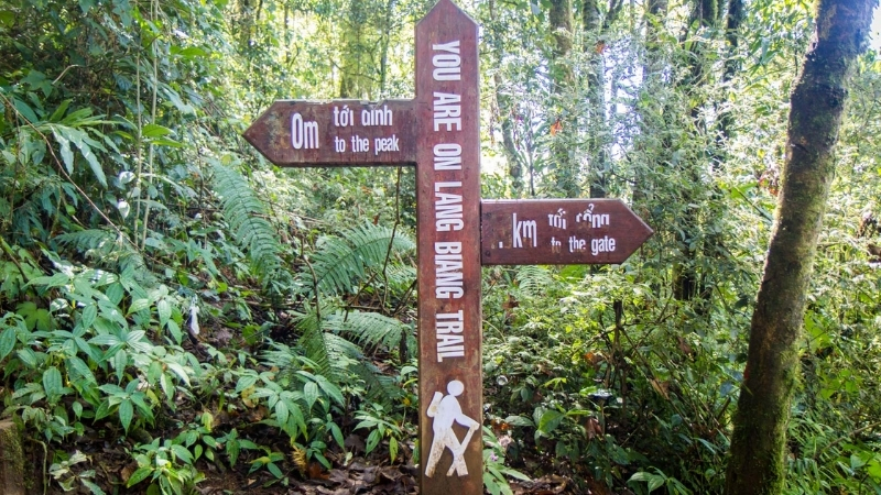 Hiking to Lang Biang Peak