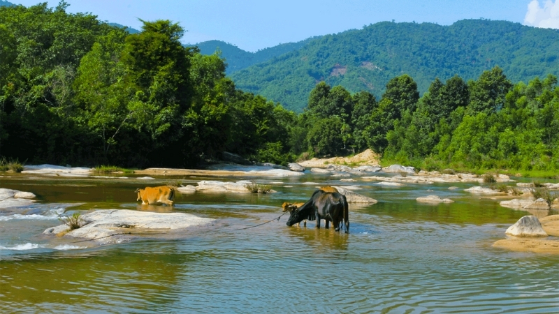 Da Giang Stream