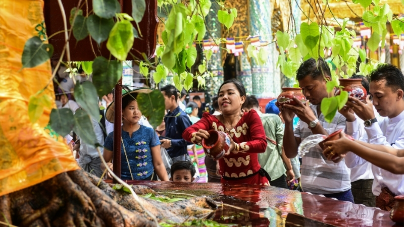 pour water at the Maha Bodhi tree at Kason Festival
