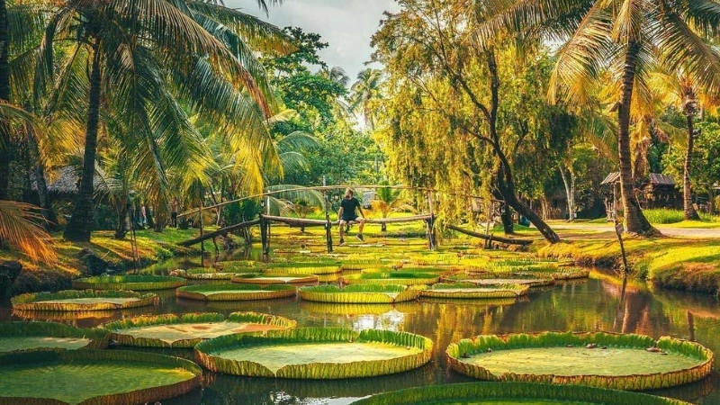 Sunrise in Binh Quoi Village