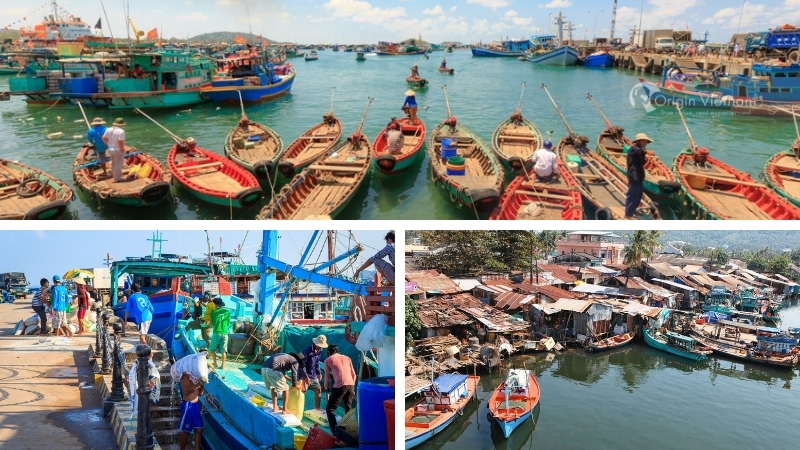 Ham Ninh Fishing Village