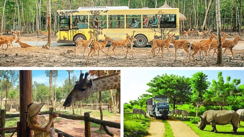 Vinpearl Safari Phu Quoc