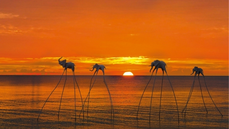 Watch Stunning Sunset on the Beach