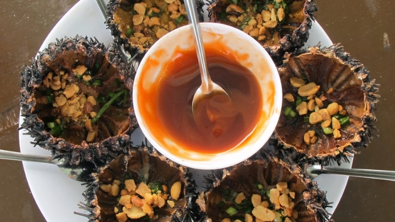 Phu Quoc Sea Urchin