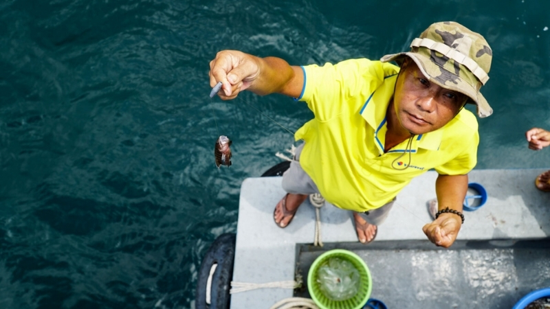 Easy to Catch fish in Phu Quoc