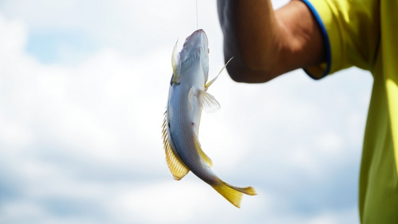 Best time to do fishing in Phu Quoc