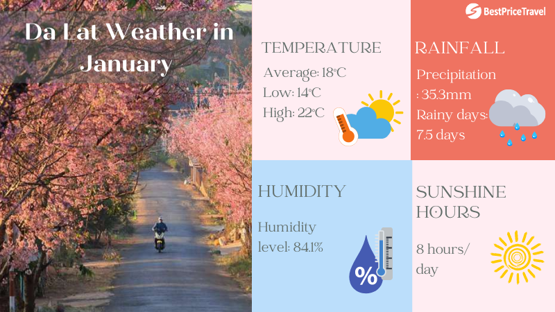 Dalat weather in January
