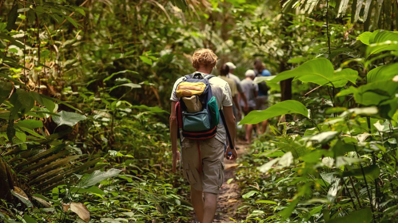 Best Things To Do In Cambodia Trek Through The Jungle