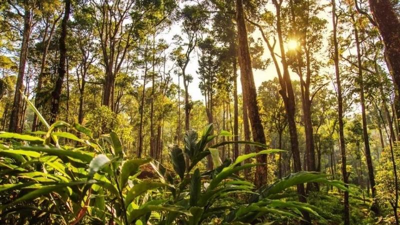 Best Time To Trek and Hike In Cambodia