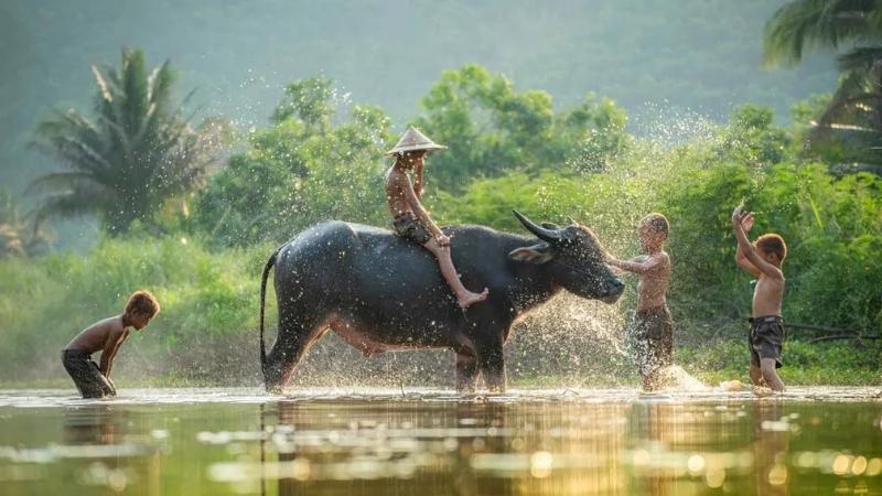 Raining Season In Cambodia Beautiful Landscapes
