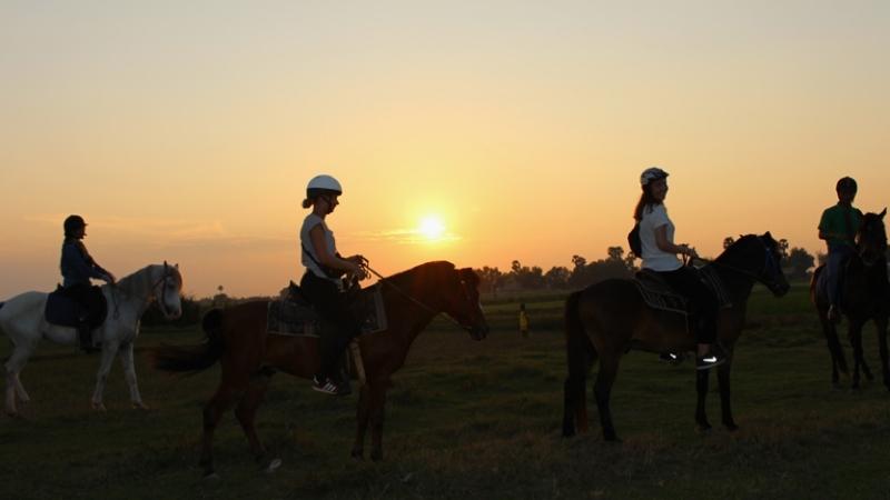 Horse Riding Siem Reap