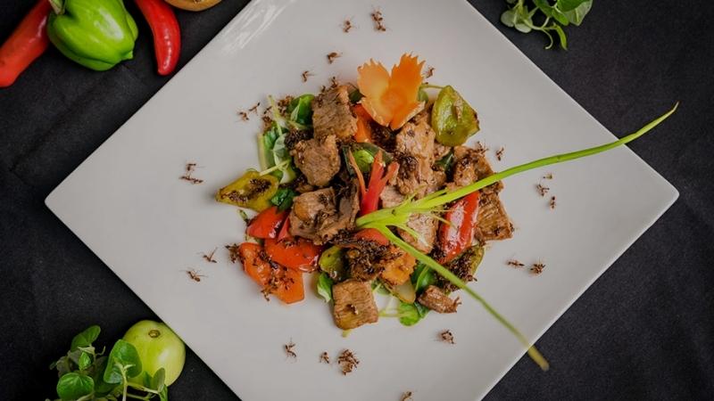 Best Things To Do In Siem Reap Eat Red Ants