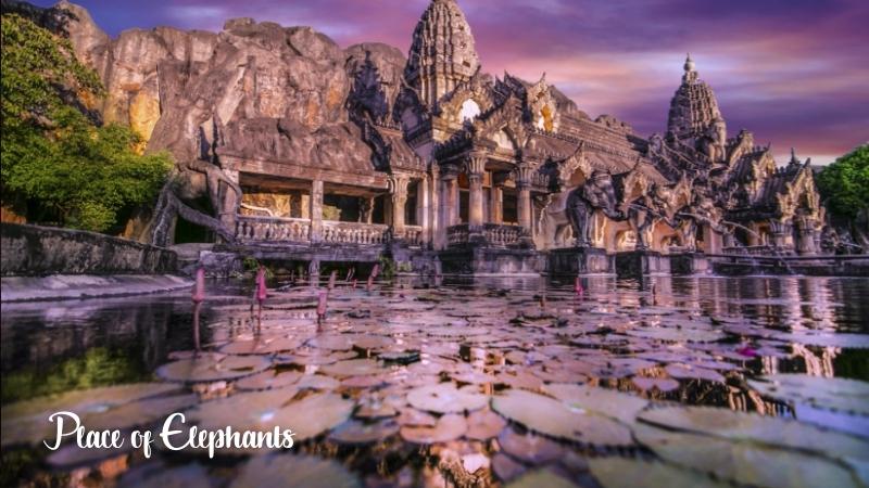 Place Of Elephants