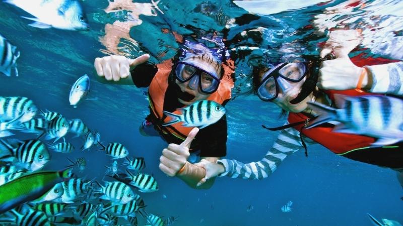 Nha Trang Prohibited Scuba Diving Off Tourist Attraction to Protect Corals