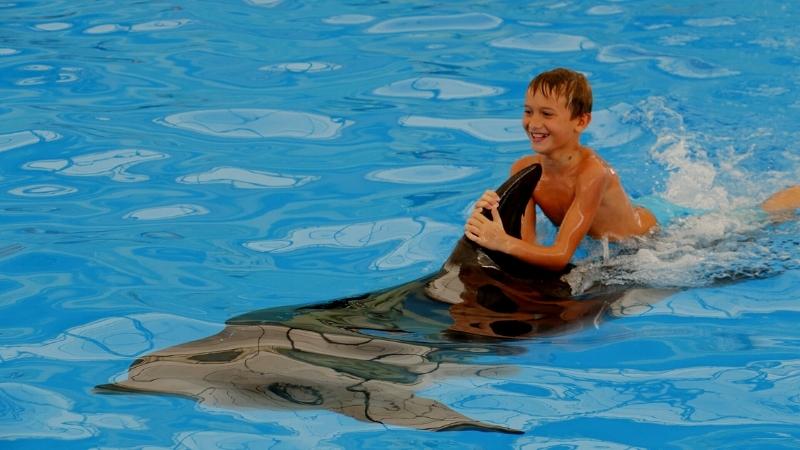 Happy Time At Dolphin Show Phuket