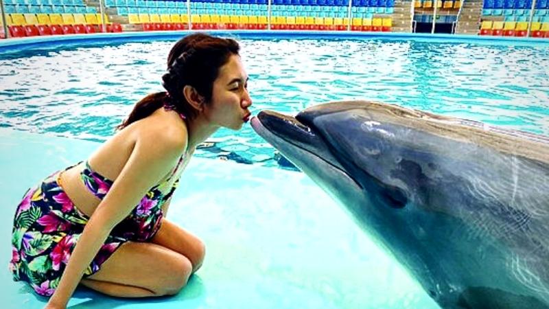 Magic Touch At Dolphin Show Phuket