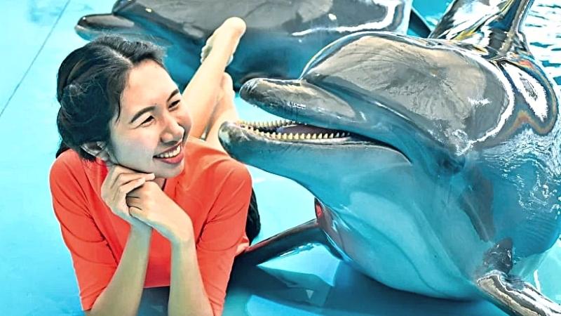 Photo With Dolphins At Dolphin Show Phuket
