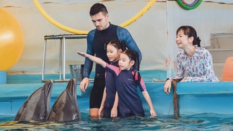 Young Trainer At Dolphin Show Phuket