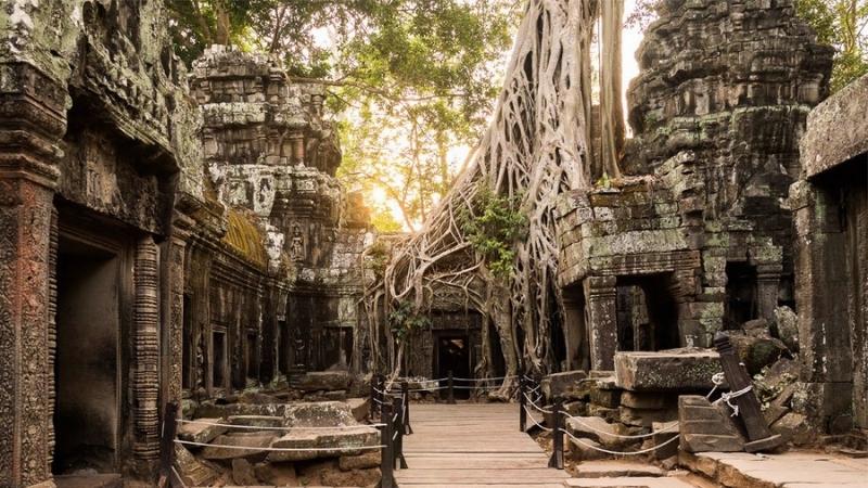 Ta Prohm jungle temple