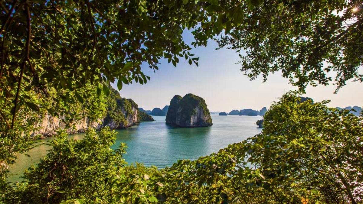Halong Bay In Spring