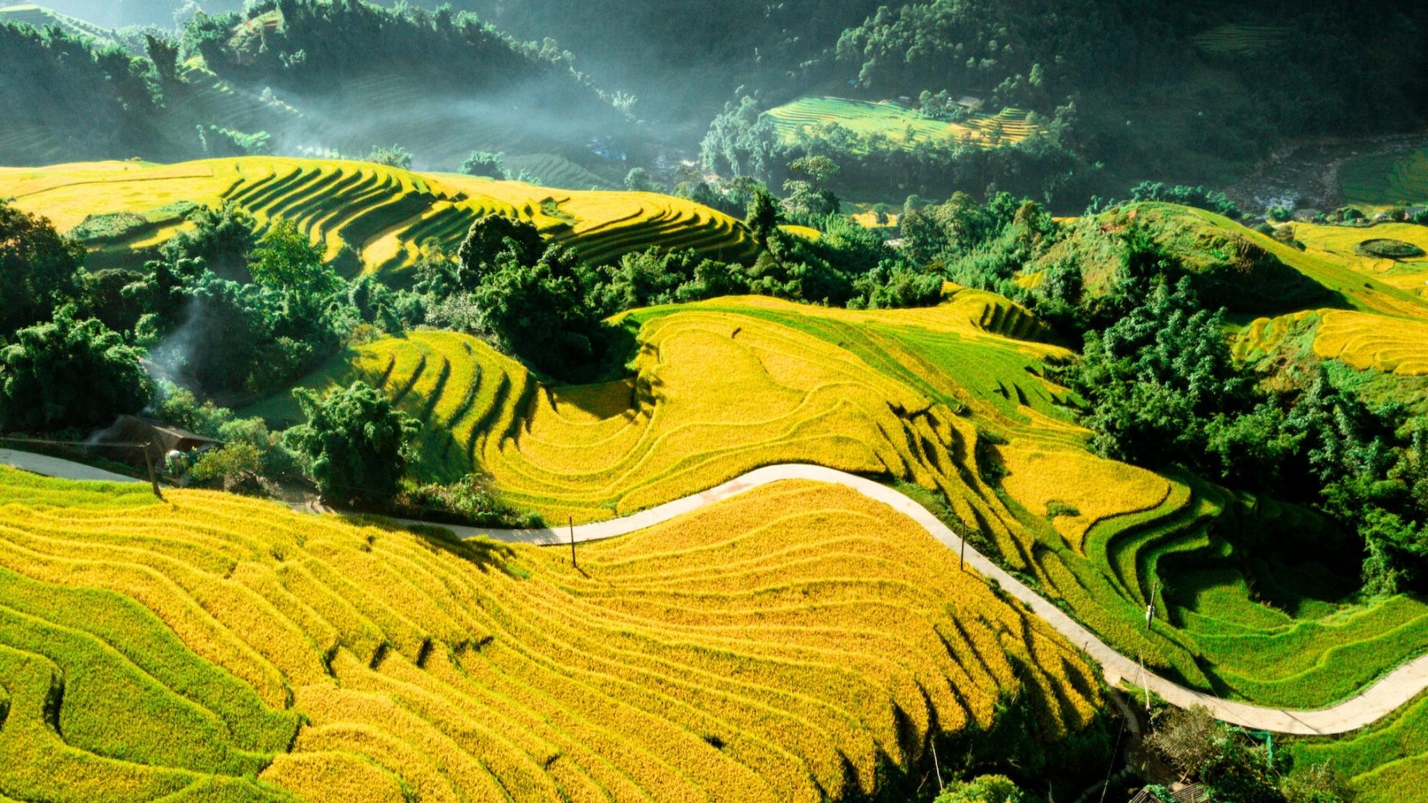 Brethtaking view of Rice terrace in Sapa