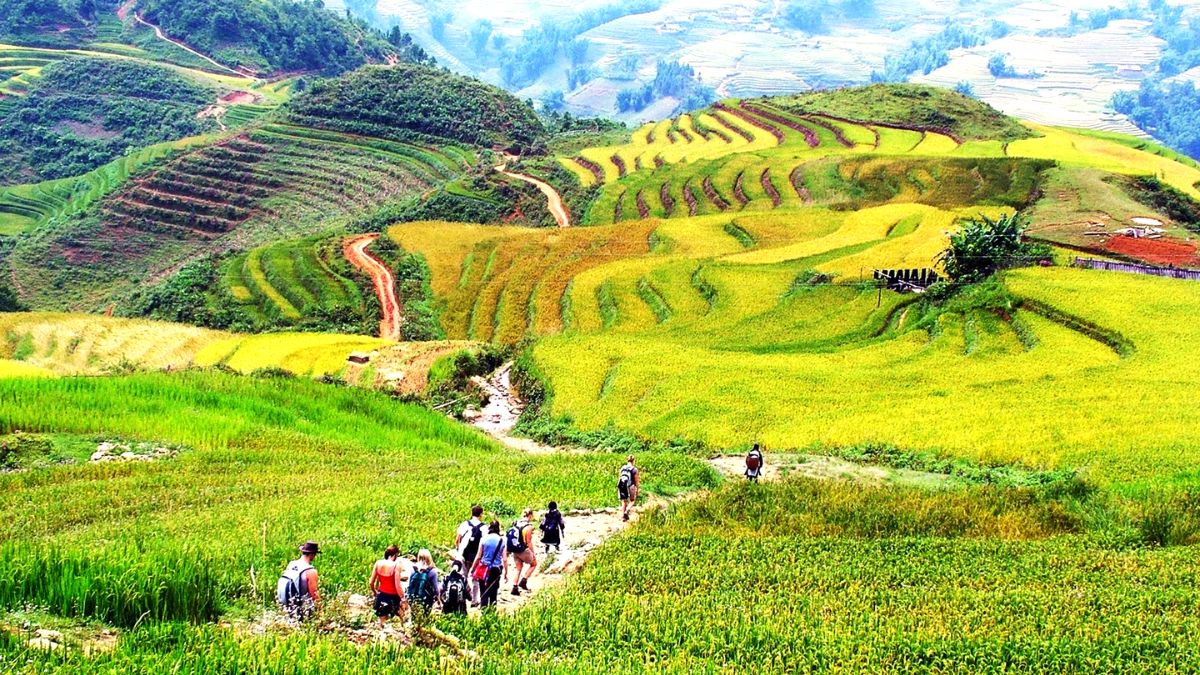 A Beautiful Spot In Sapa