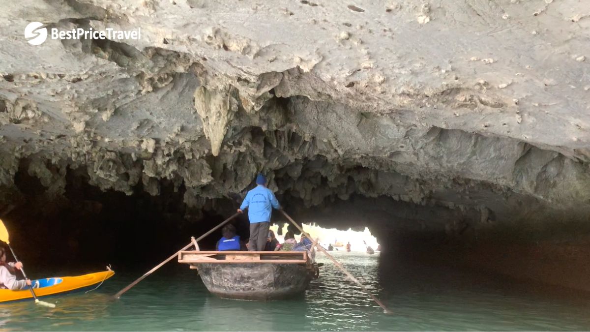 Discover The Natural Beauty Of Dark And Bright Cave