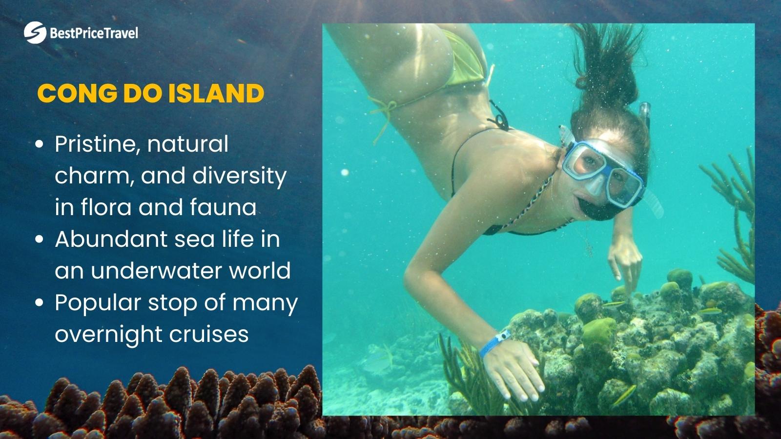 Cong Do Island Diving